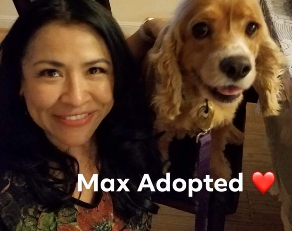 Max adopted!!