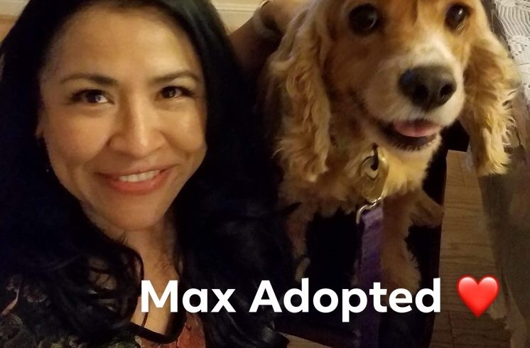 Max adopted!!