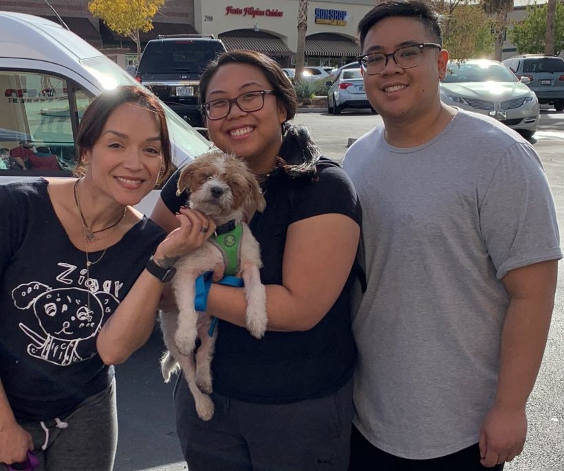 Buddy adopted!