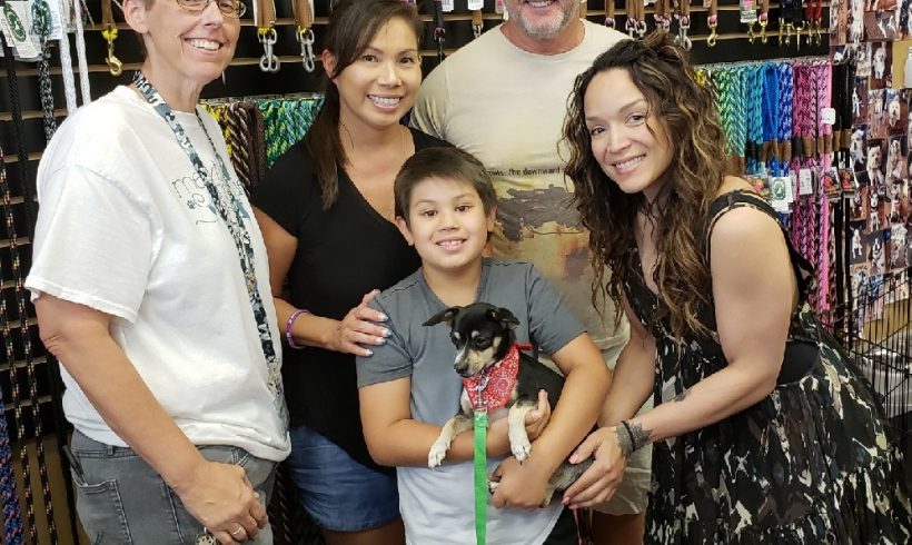 Tommie adopted!!