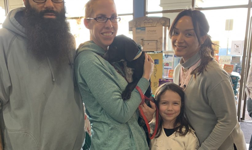 Siboney adopted!!